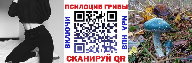 Псилоцибиновые грибы прущие грибы  Купить  Вилюйск 