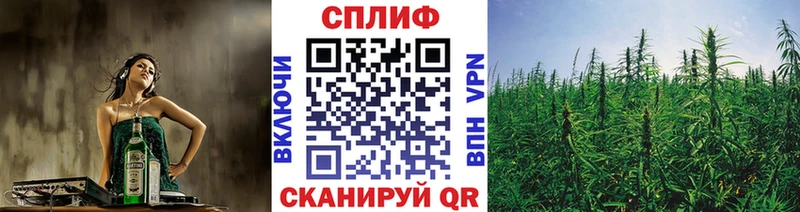 Купить где Вилюйск Каннабис семена